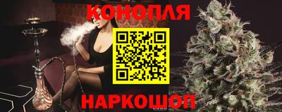 шишки Изобильный