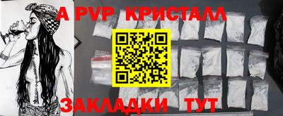 шишки Изобильный