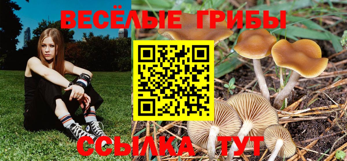 сколько стоит  Вход с VPN  Магнитогорск  Псилоцибиновые грибы Magic Shrooms 